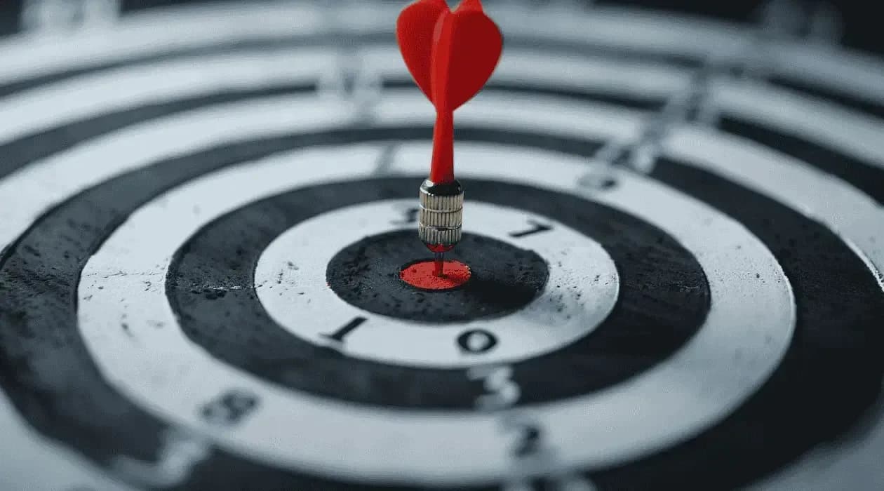 Tailored to Your Business Needs Built for How You Work