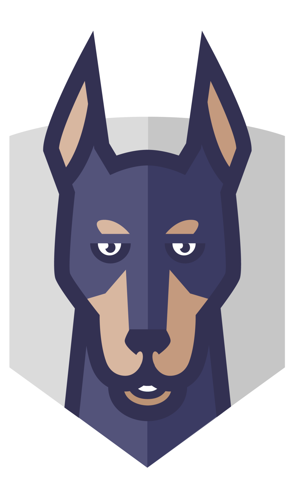 Vulnerability Scanning & Management icon